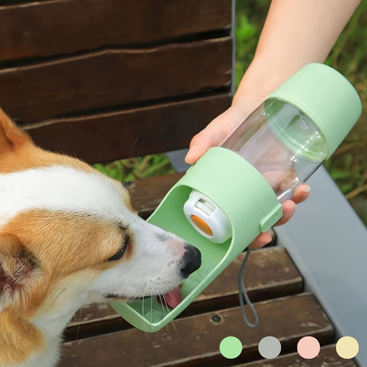 Hydrate Your Pet Anywhere – No Mess, No Hassle