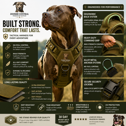 No-Pull Tactical Dog Harness 🐾 Ultimate Control & Comfort